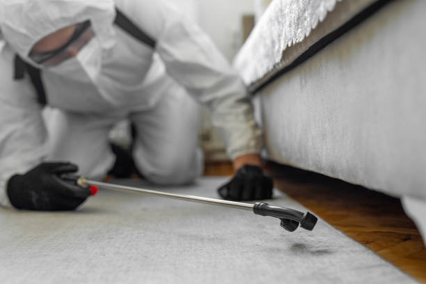 Professional Bed Bug Control technician working in Demarest, NJ