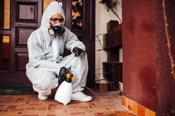 Reliable Bed Bug Control contractor in Demarest, NJ by Nex Pest Control